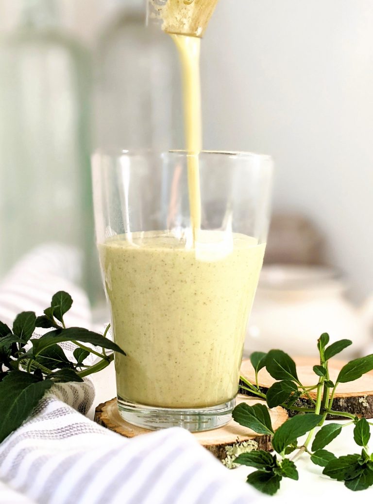lemon basil smoothie recipe raw vegan gluten free easy 5 minute blender breakfast shakes with protein powder recipes with lemon balm healthy