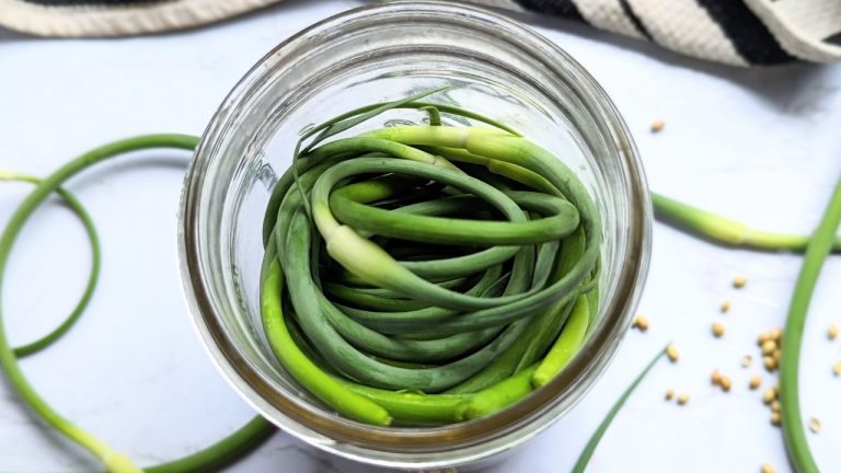 garlic scape pickles recipe what to do with garlic scapes recipes homemade pickles with scapes