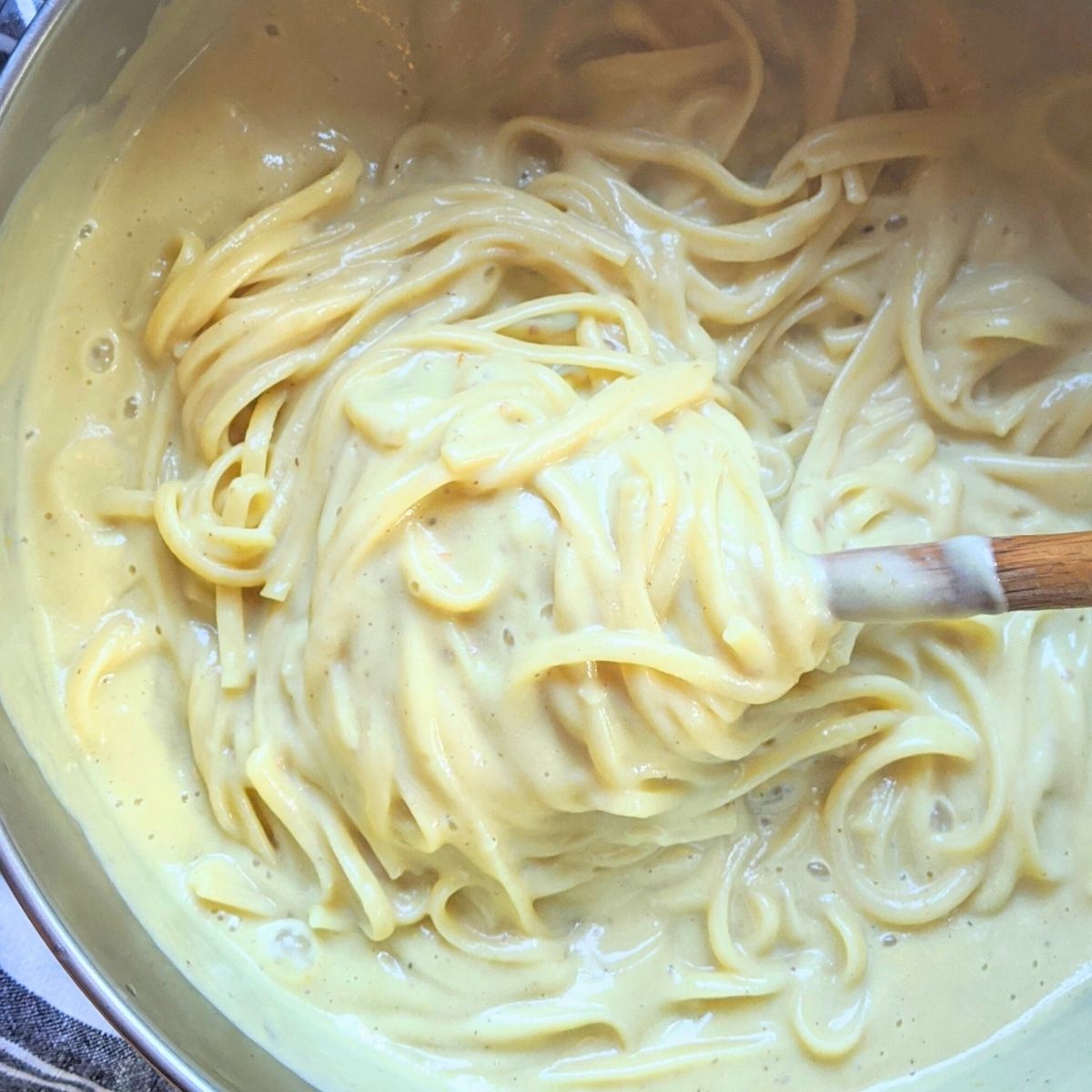 Creamy Zucchini Alfredo Sauce (Nut Free/Dairy Free)